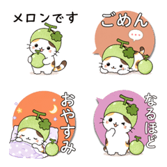 Melon Cat Everyday Emoji