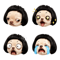 Bob Doggy Every Mood