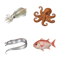 釣魚人寫實漁獲圖鑑