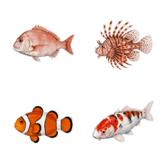 寫實魚類圖鑑
