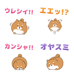 Chubby Shiba: Big Reactions