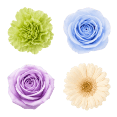 "Flower" / Blooming Cool Colors