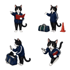 Team Event Cat Animated Emoji