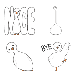Squishy White Bird