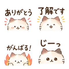 【毎日使える】文字が主役の猫たち｜coco♡