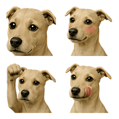 ai-Emoji  (Character ) 414