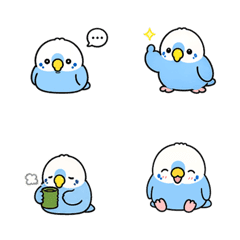 bird3-8