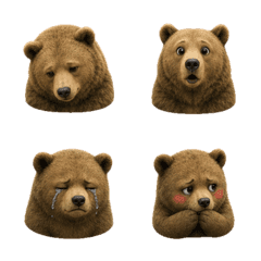 静かなクマの顔 B