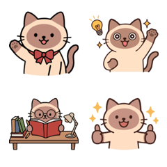 Shami, the Smart & Busy Cat