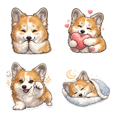 Corgi Kaidow V1