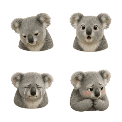 静かなコアラの顔 B