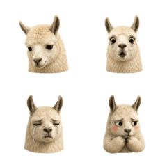 静かなリャマの顔 B
