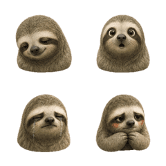 静かなナマケモノの顔 B