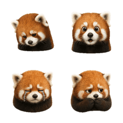 Calm Red Panda Faces T