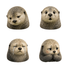 Calm Sea Otter Faces T