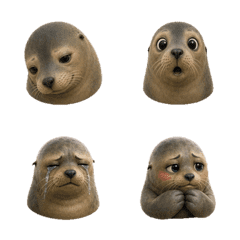 Calm Sea Lion Faces T