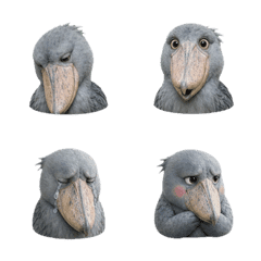 Calm Shoebill Faces T