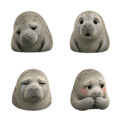 Calm Manatee Faces T