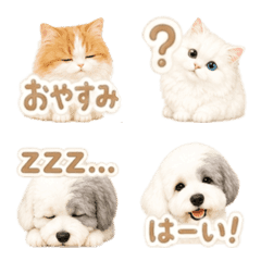 【リアルが可愛い】わんことねこちゃん。