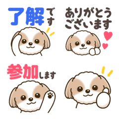 Lovely Shih Tzu Reaction Emojis