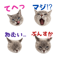 Jill emoji