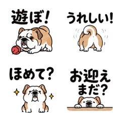 Cute Bulldog Everyday Phrases
