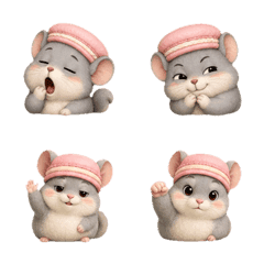 無表情なチンチラ Y