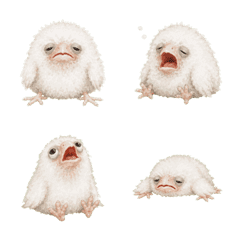 Messy Clown Bird - Baby Falcon Edition