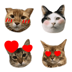 pjbdwtpgadnuemtj