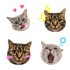 Jill & Juno emoji