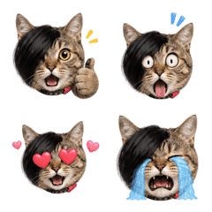 Bobby the Sweet Kitty Everyday Emoji