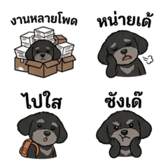 Tofu Cute