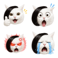 Bob Kitty Everyday Emoji