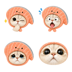 Salmon Kitty Everyday Emoji