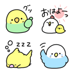 chubby small bird
