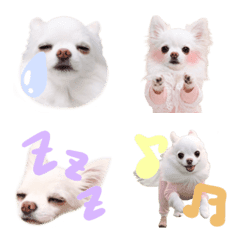 pgbdwtpjadmujae