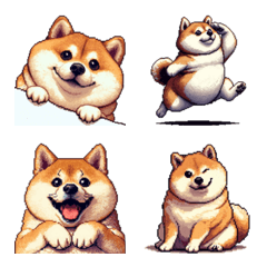 ノリノリな太っちょ柴犬