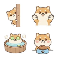 Shiba Inu for Everyday Use