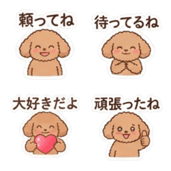 Caring Poodle2