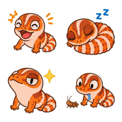 Orange Fat-Tail Expressions