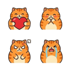 Chubby Orange Cat Daily