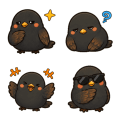 Chubby Black Sparrow Moods