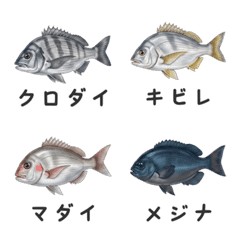 Grocery Helper & Group Buy FISH JP
