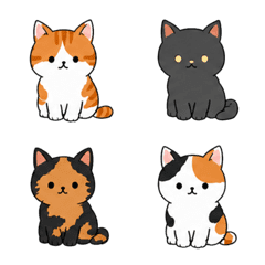Gatos fofos de várias raças