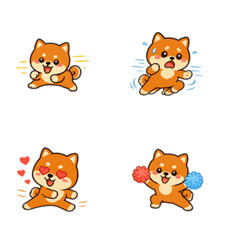 Super-Fast Side-Stepping Shiba