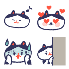 ハチワレ猫クン