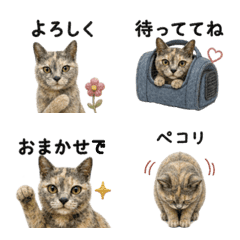 Tortoiseshell Cat Emojis for Every Day