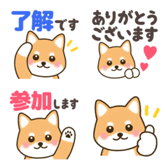 Lovely Shibainu Reaction Emojis