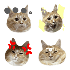 pjadmtqsemujae