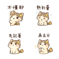 小掃把貓表情貼 20260803-10